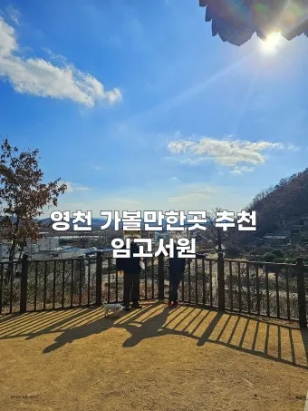 영천 가볼만한곳 맛집 카페 추천 여름 사진 명소_22