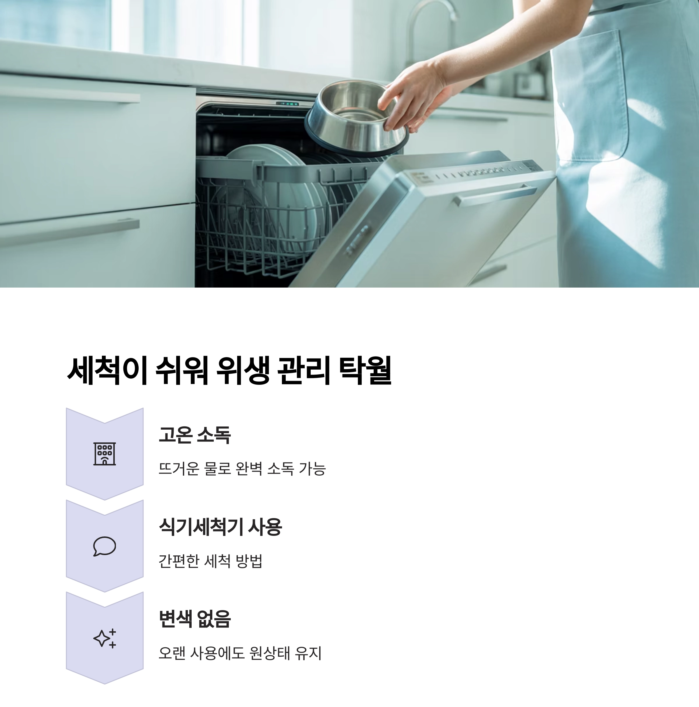 반려동물 건강을 위한 최고의 선택, 스테인리스 식기 추천 이유