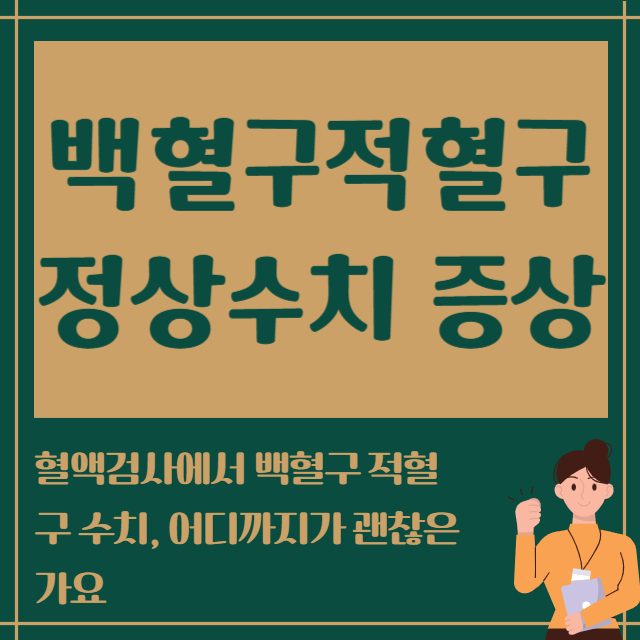백혈구적혈구 정상수치 증상