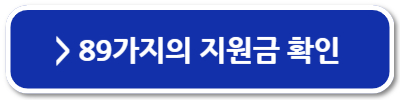 전국민 일상지원금