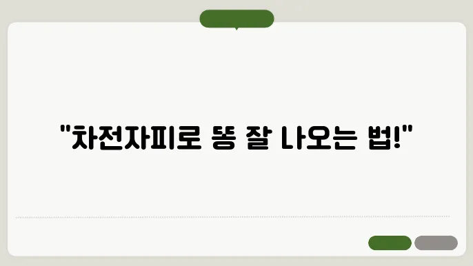 차전자피 효능 부작용 똥안나올때 똥잘싸는법