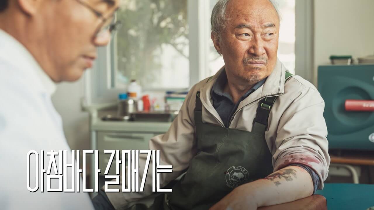 영화 아침바다 갈매기는