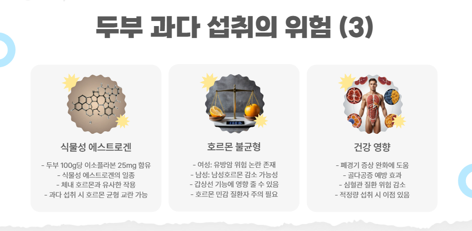 두부 과다 섭취의 위험 (3)