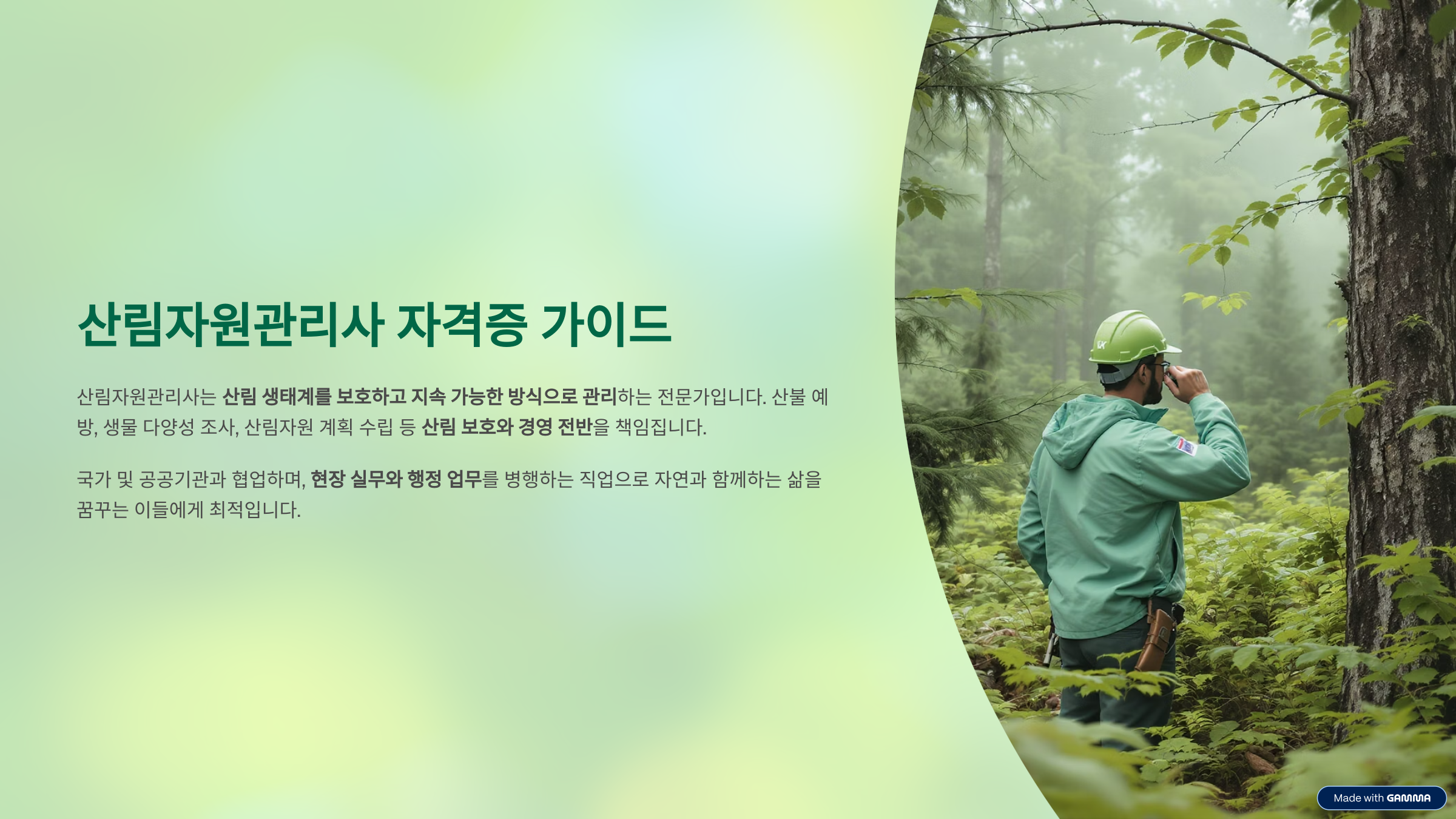 산림자원관리사 자격증 취업, 연봉