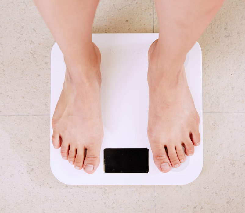 송화가루 효능 : 다이어트