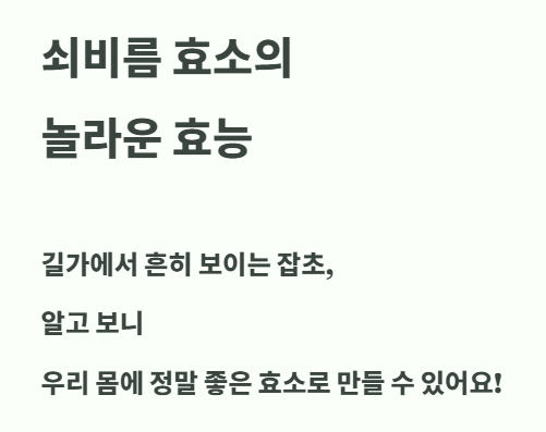 쇠비름 효소의 모든 것