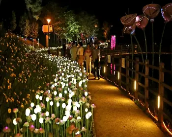 울산대공원 장미축제_19