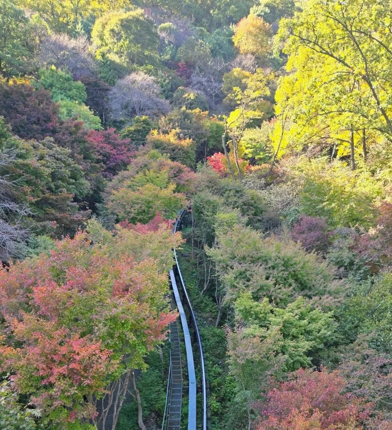 화담숲 단풍시기 예약 단풍명소