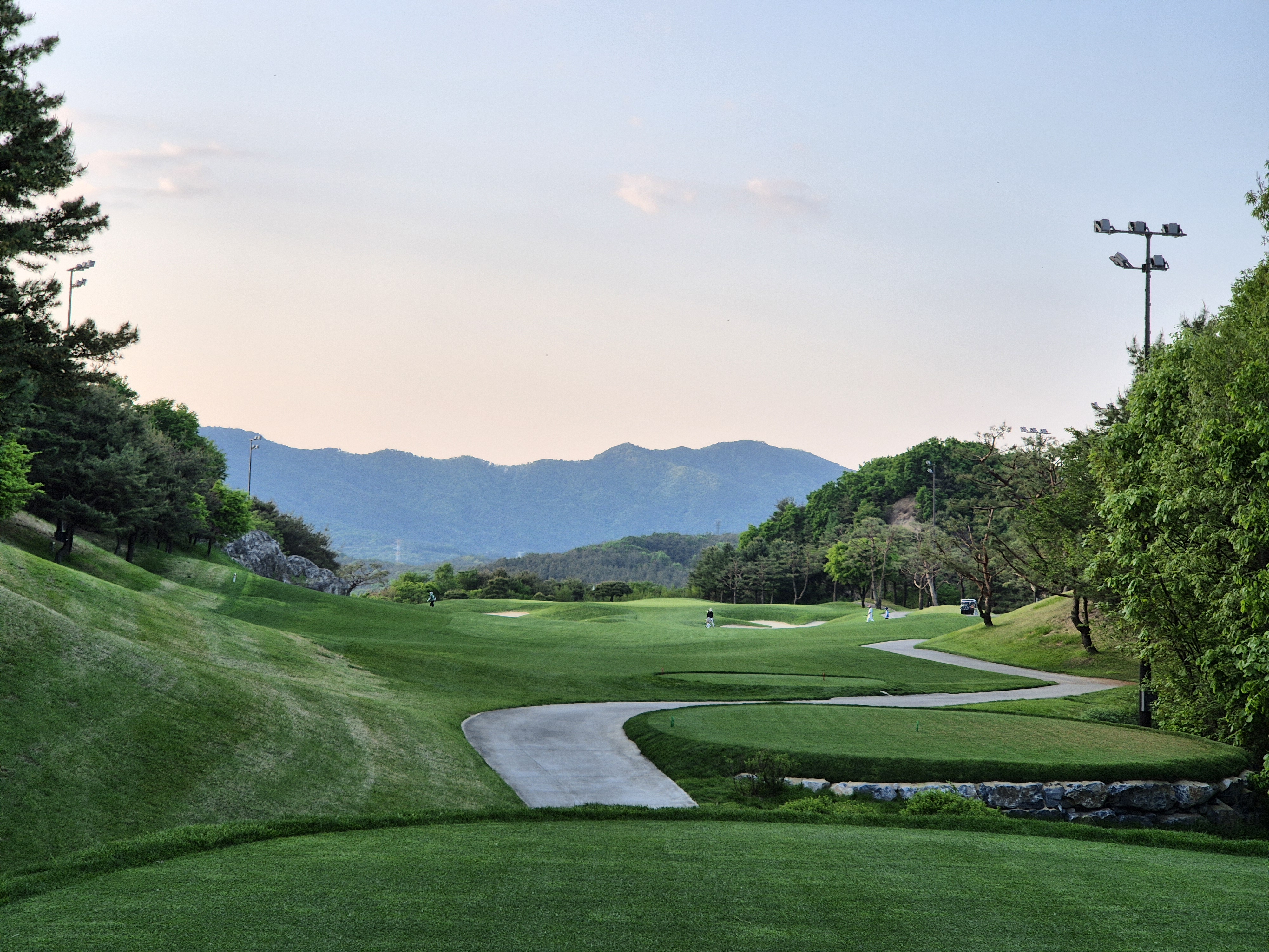 베어크리크cc 크리크코스