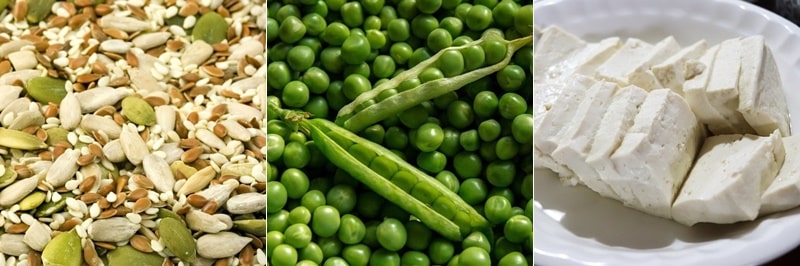 식물성 단백질 섭취 이점