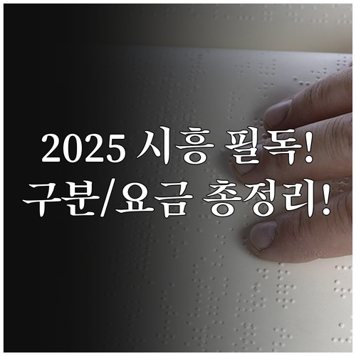 휠체어 비휠체어 완벽 구분 2025 ..