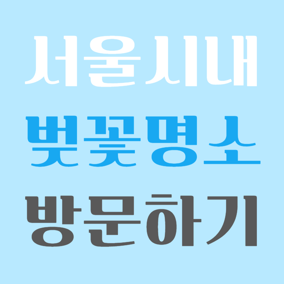 서울 벚꽃명소
