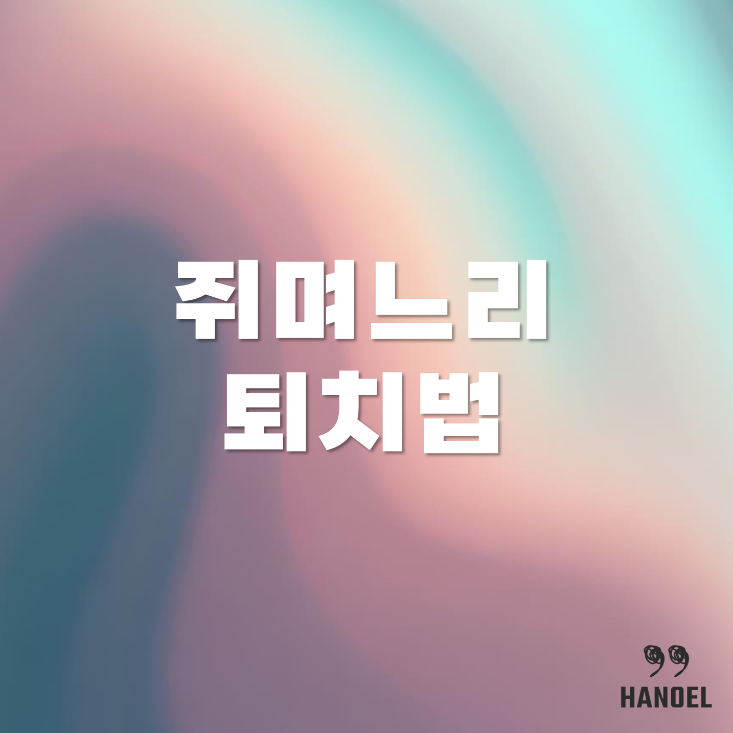 집과 화분에 생기는 쥐며느리(공벌레) 퇴치법