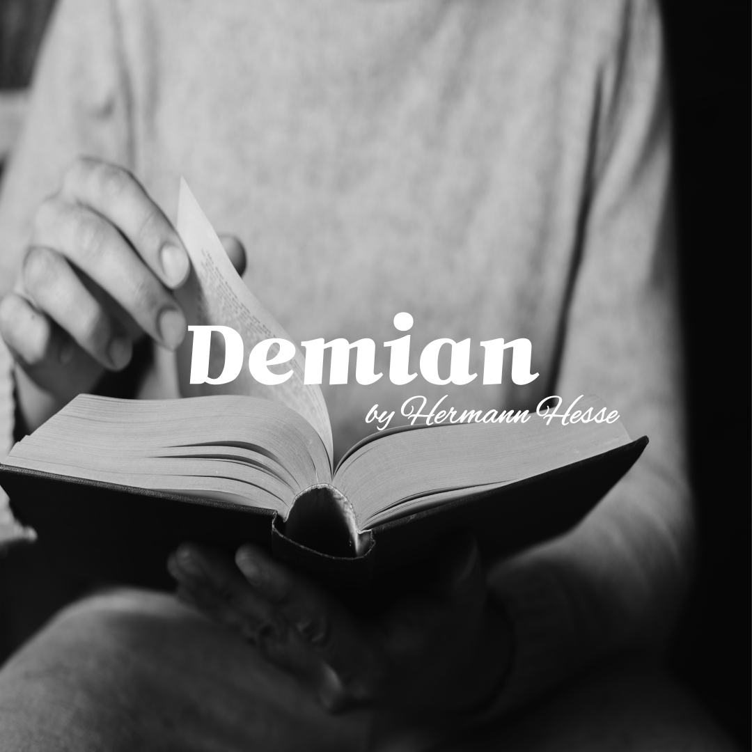헤르만 헤세(Hermann Hesse)의 <데미안(Demian)>을 독서하는 모습의 사진 이미지