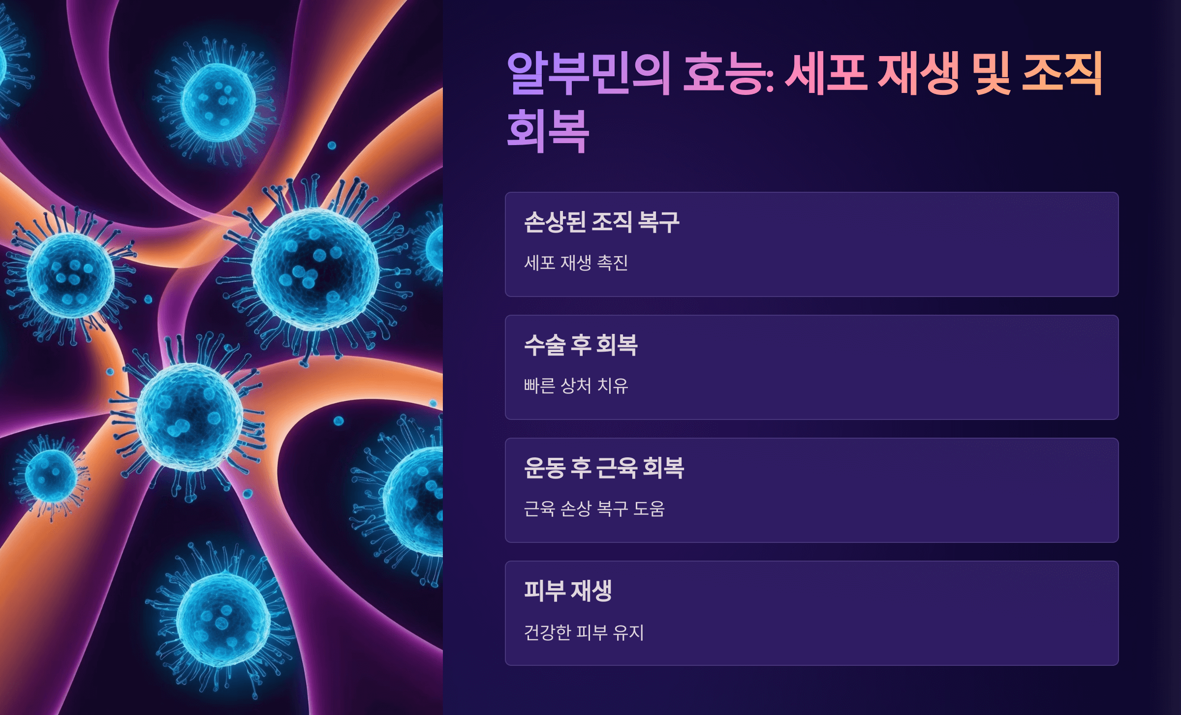 알부민과 관련된 사진입니다.