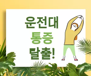 운전 척추 관리, 통증 잡는 4가지 비법은?