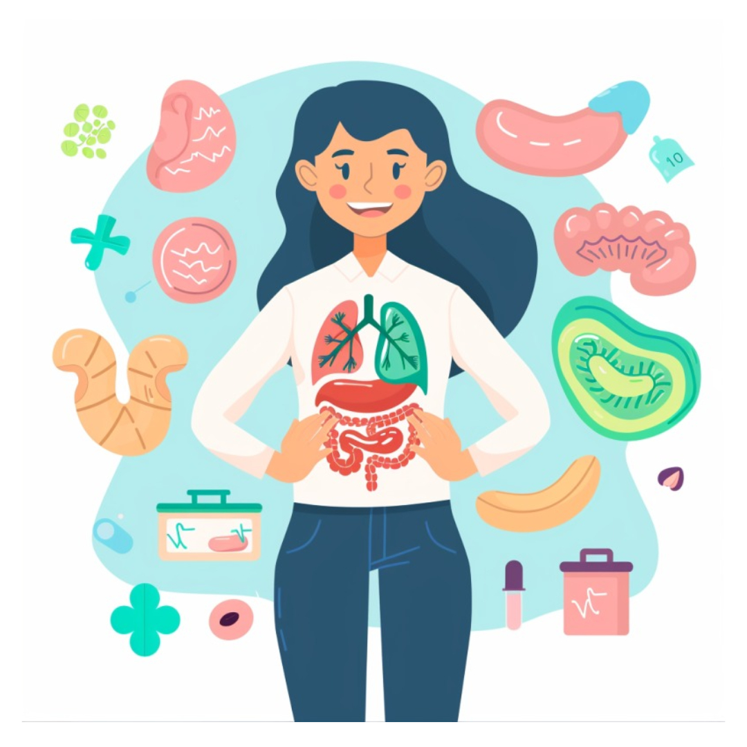 콘드로이친과 관련된 사진입니다.