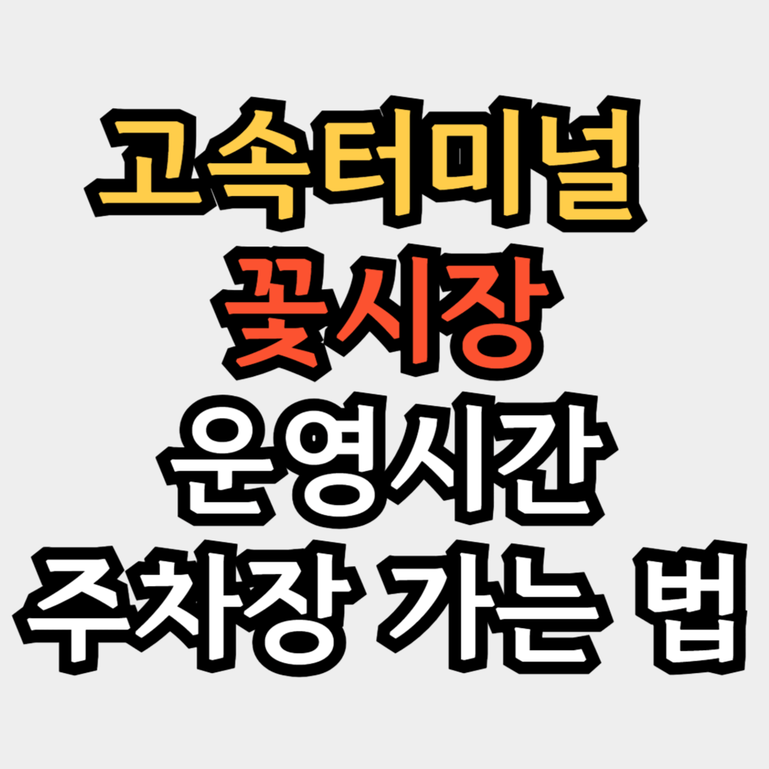고터 꽃시장 영업시간 고터 꽃시장 주차장 고터 꽃시장 가는 법