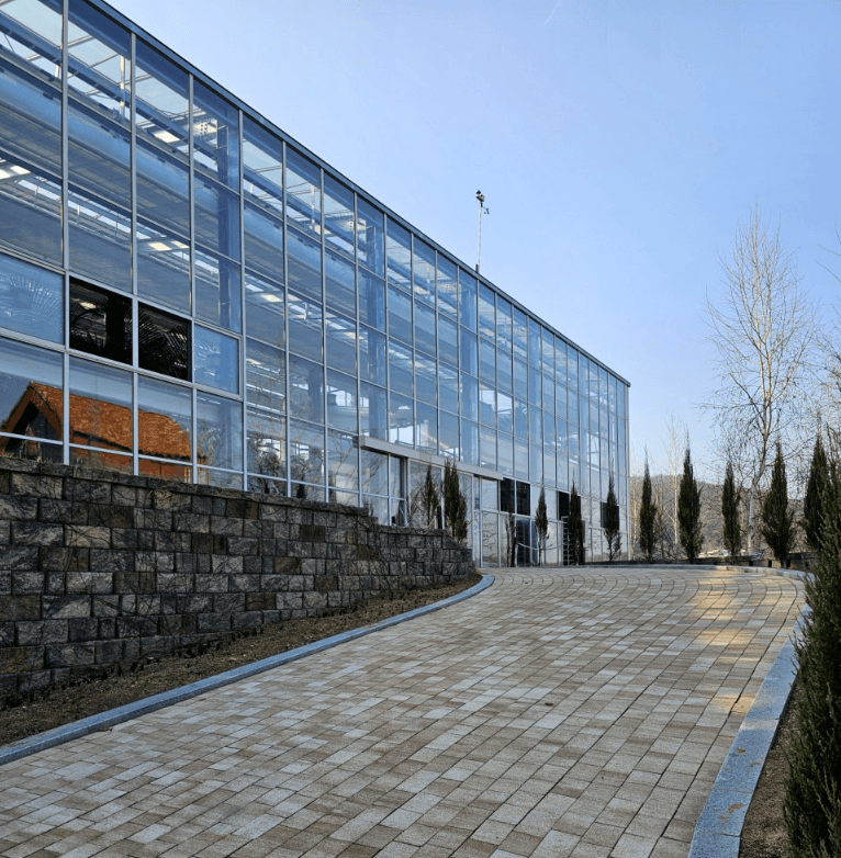 용인 자작나무 숲 봄 꽃 축제, 봄 날의 감성에 물들다!