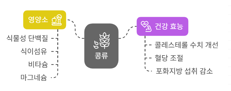 심혈관 질환에 좋은 콩류의 효능