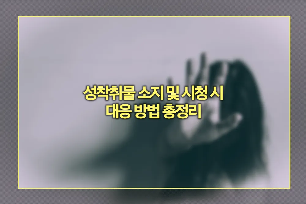 성착취물 소지 및 시청 시 대응 방법