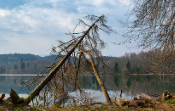 운전면허 갱신기간 초과 과태료