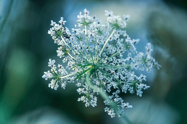 JLPT 일본어 능력시험 취득방법 국비지원