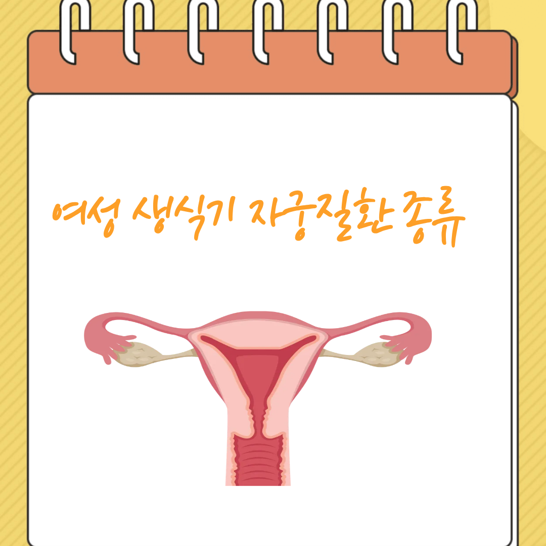 여성 생식기 자궁질환 종류