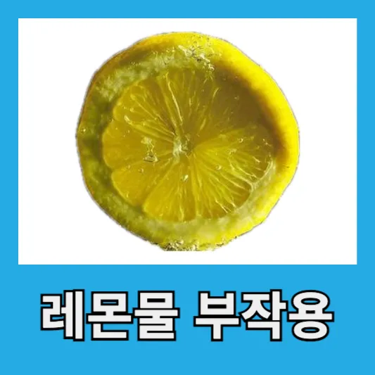 레몬물 부작용