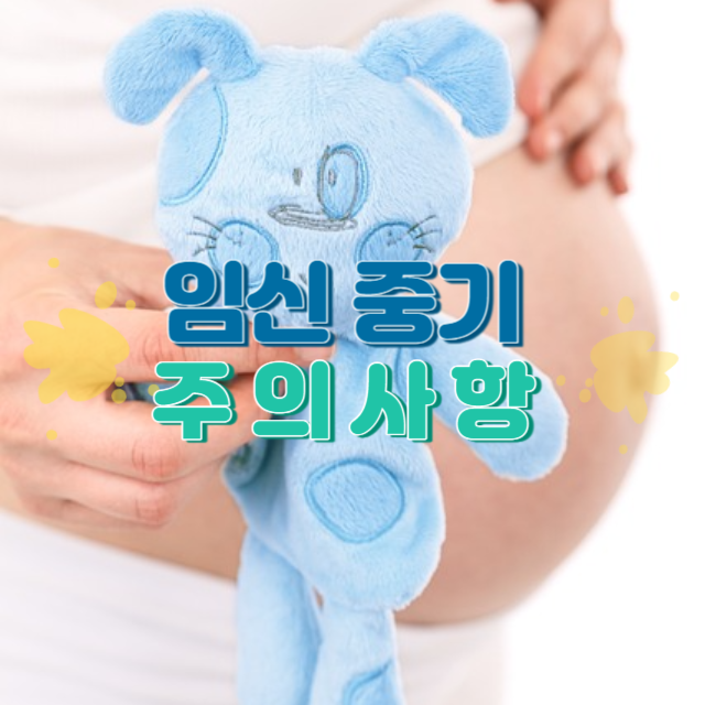 임신 중기 주의 사항