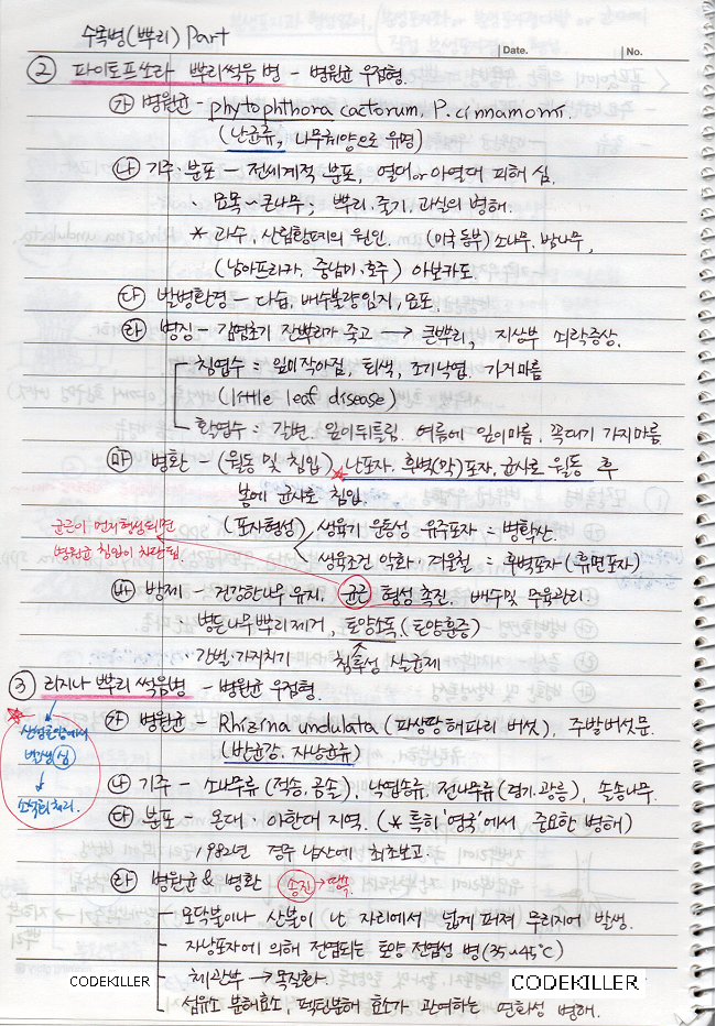 파이토프쏘라 Phytophthora 뿌리썩음병 (병원균 우점형)