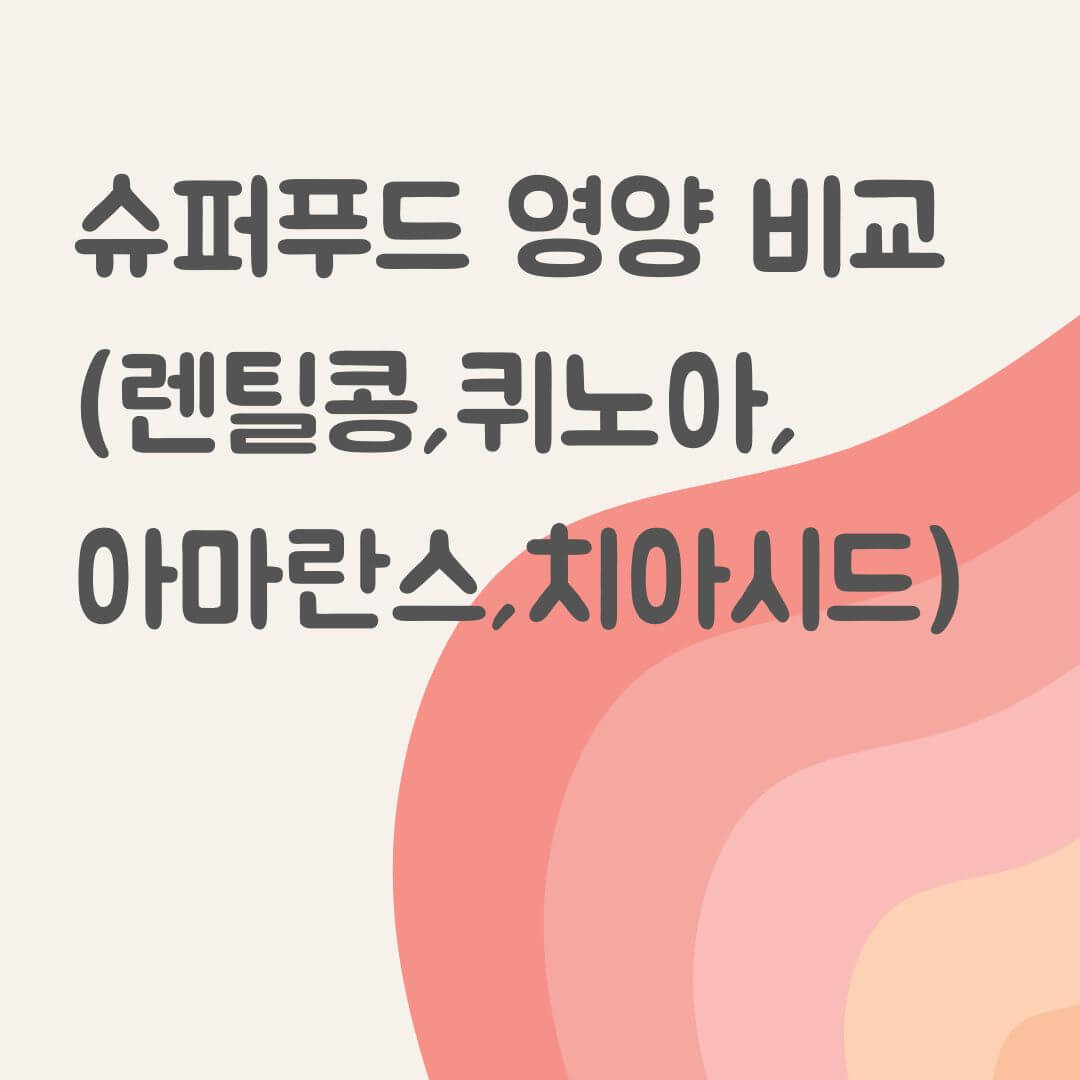 슈퍼푸드 영양 비교