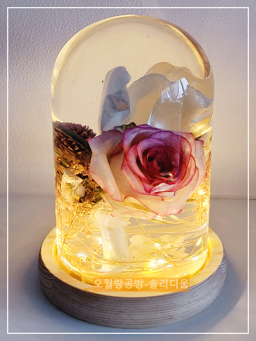 LED유리돔솔리디움
부케솔리디움
오월랑공방