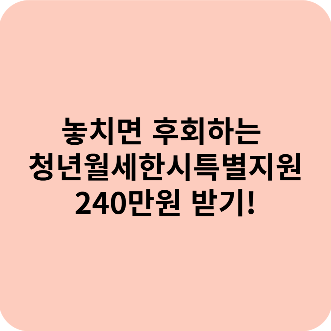 청년월세 한시 특별지원