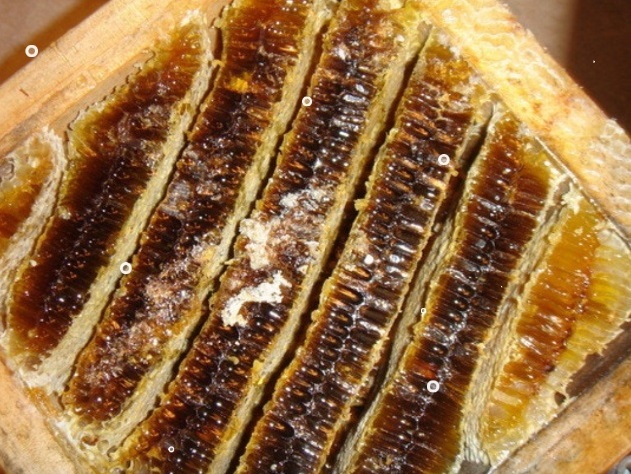 토종꿀-삼척-이건영-주문