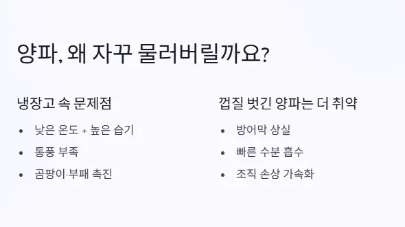 양파 물러지는 이유