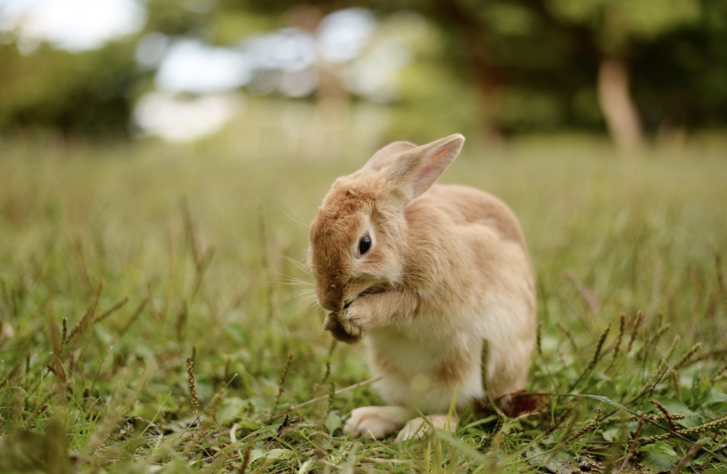 제로웨이스트 도시 생활: 대도시에서 지속 가능하게 살기