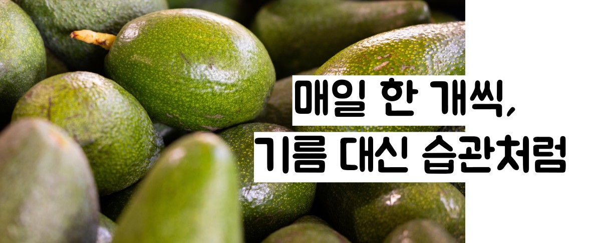 아보카도 효능