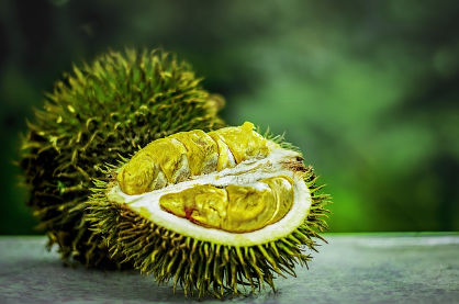 두리안의 독특한 향기의 원인과 두리안의 문화적 상징성