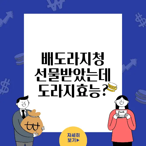배도라지청 선물받았는데 도라지효능?