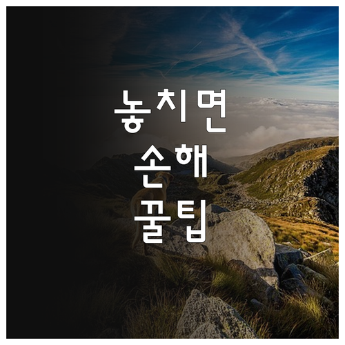 2025 안산 청년 실질 지원 학원비..