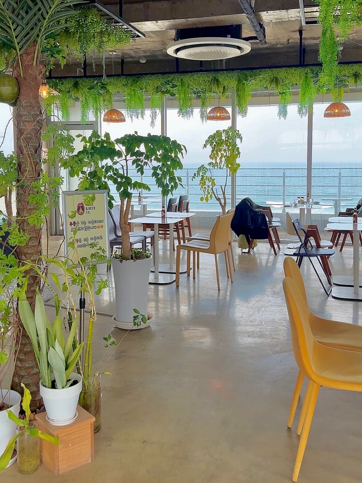 피앤비코 안목해변 맛집