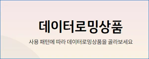 KT 로밍 데이터