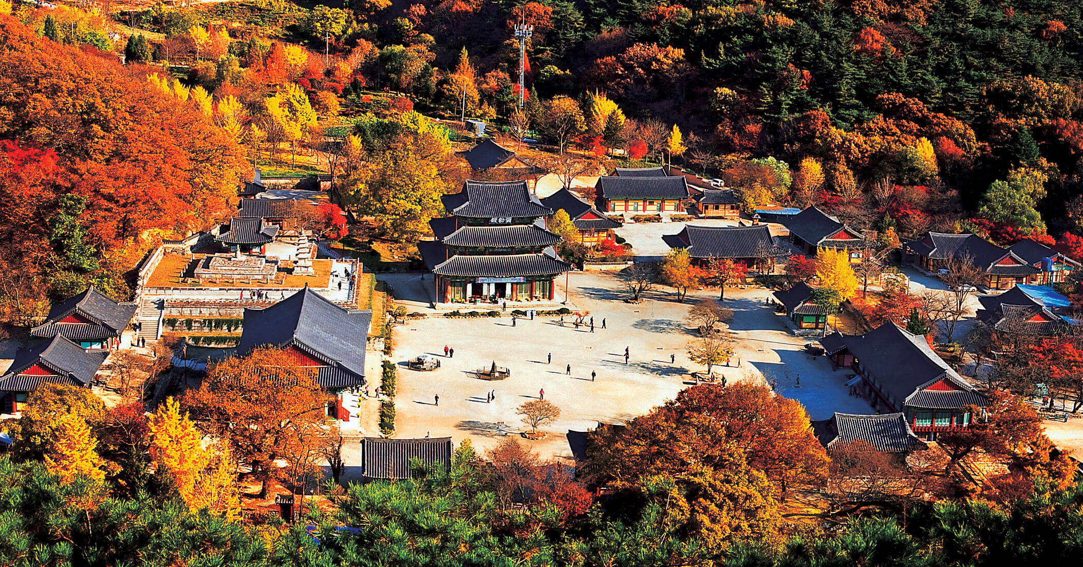 전북 김제 금산사 단풍