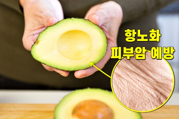 노화방지에 좋은 음식, 아보카도 효능, 노화를 늦추는 음식, 안티에이징, 뷰티 팁줌