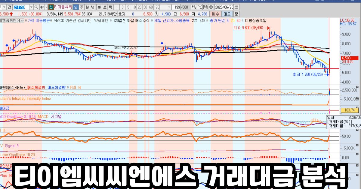 티이엠씨씨엔에스 거래대금 분석