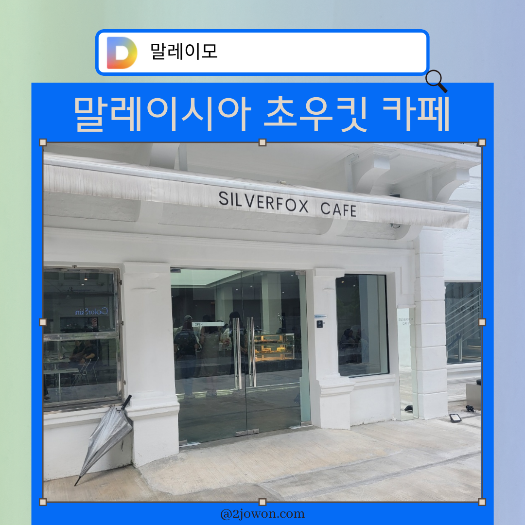 실버폭스