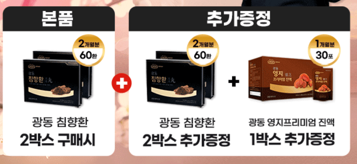 광동 침향환 이벤트