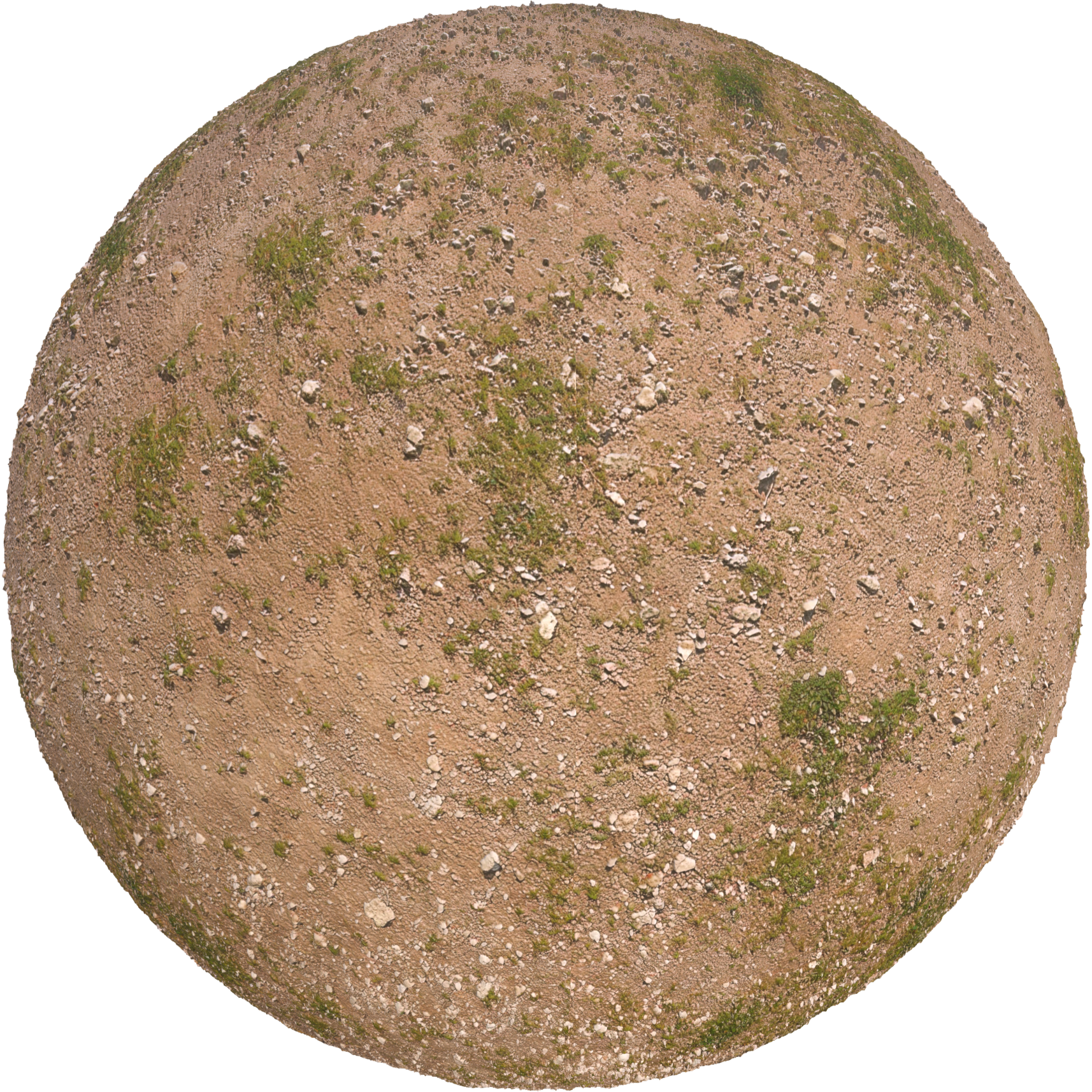 rough dry soil pbr texture sbsar 1