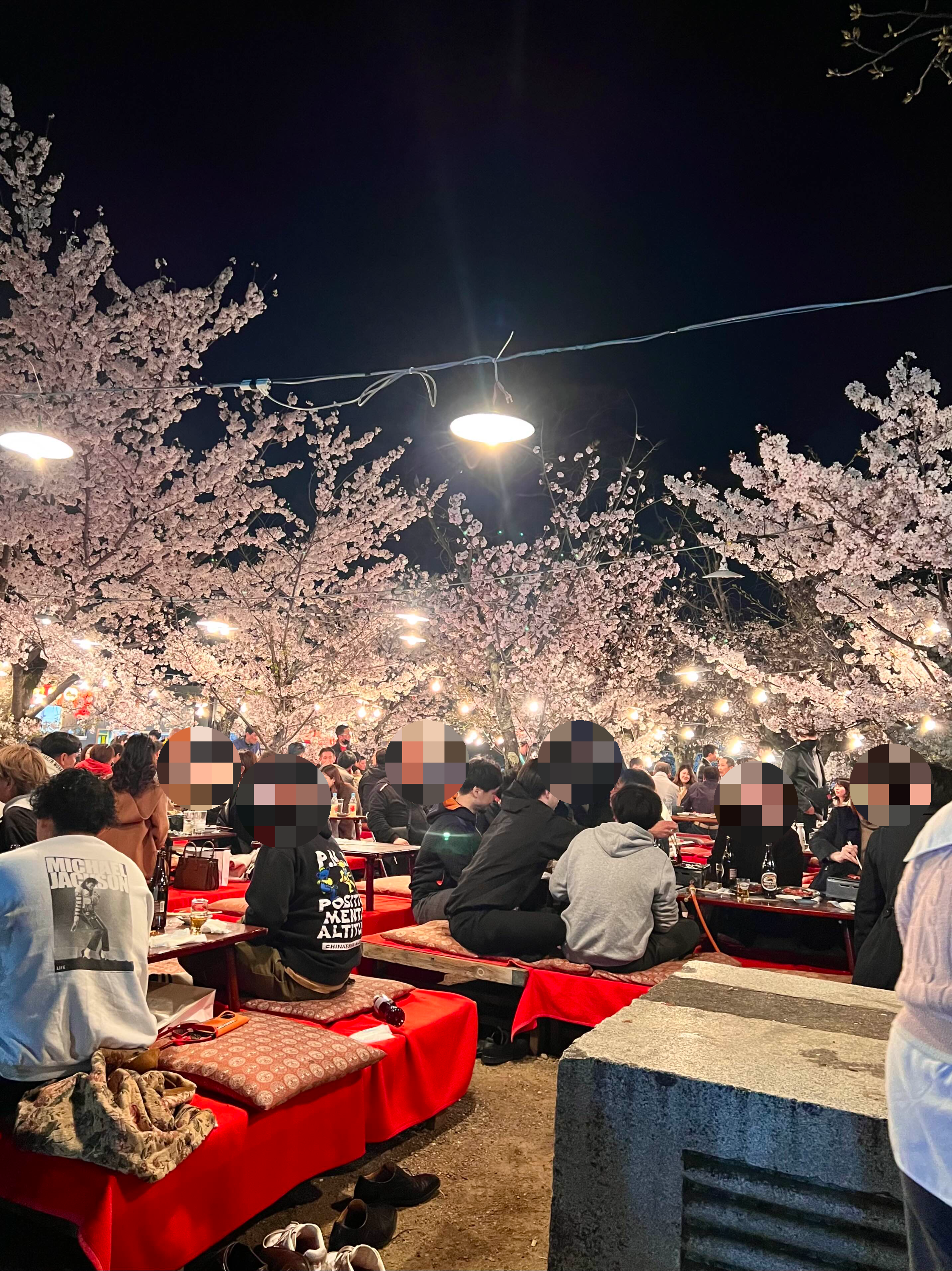 일본 벚꽃축제 교토 야시장 마루야마공원